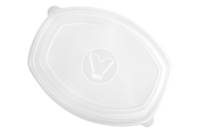Lid for SpK-257, 257*202*35 mm, transparent, StirolPlast