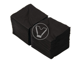 Napkins 24*24 cm black, 2 layers, 250 pcs/pack