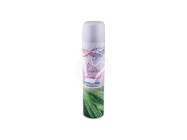 Air freshener "Melody of aromas", After the rain