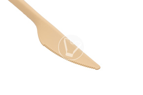Table knife "Biopolymer", craft, length 175 mm