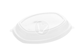 Lid for SpK-257, 257*202*35 mm, transparent, StirolPlast