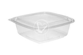 Container SpK-137 with lid, for cold, 750 ml, 17*17 cm