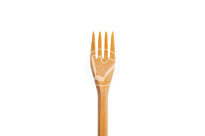 Table fork "Picnic", craft, length 170 mm
