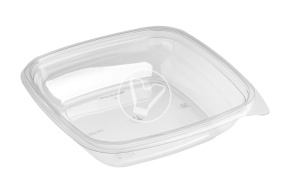 Container SpK-1919, 750 ml, transparent (K140, F70), StirolPlast