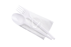 Set "Economy" 3/1, white (fork, spoon, white napkin)