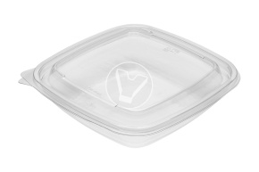 Container SpK-1919, 750 ml, transparent (K140, F70), StirolPlast