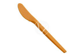 Table knife "Picnic", length 170 mm