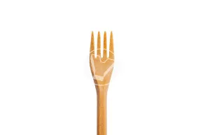 Table fork "Picnic", craft, length 170 mm