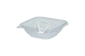 Container S-12 for cold, 250 ml, 12*12 cm, transparent